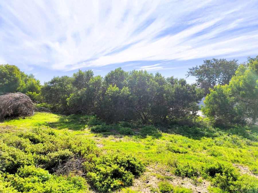 0 Bedroom Property for Sale in Da Gama Bay Western Cape